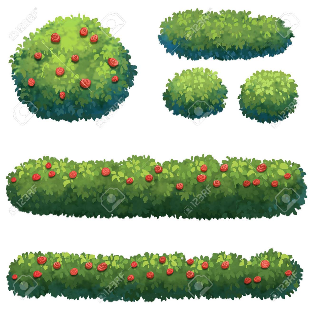 Кусты в детском саду