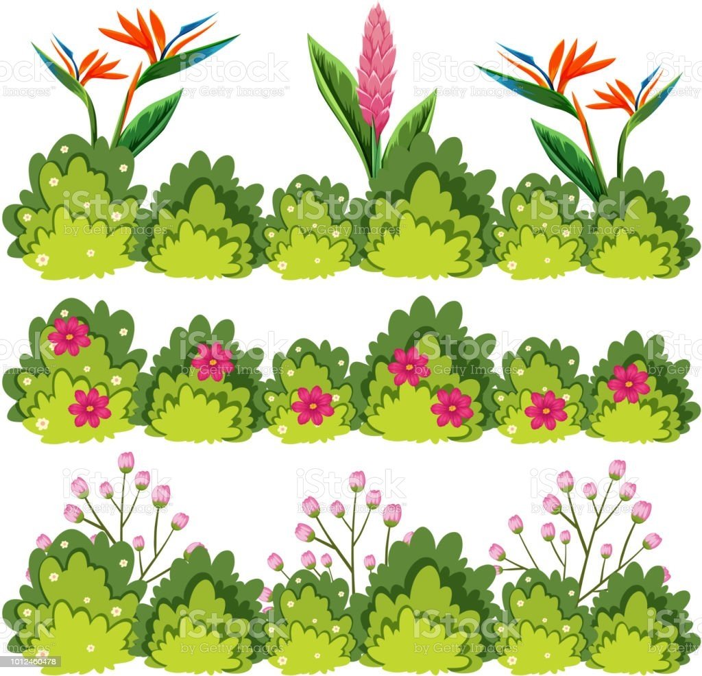 Декорации кустарники