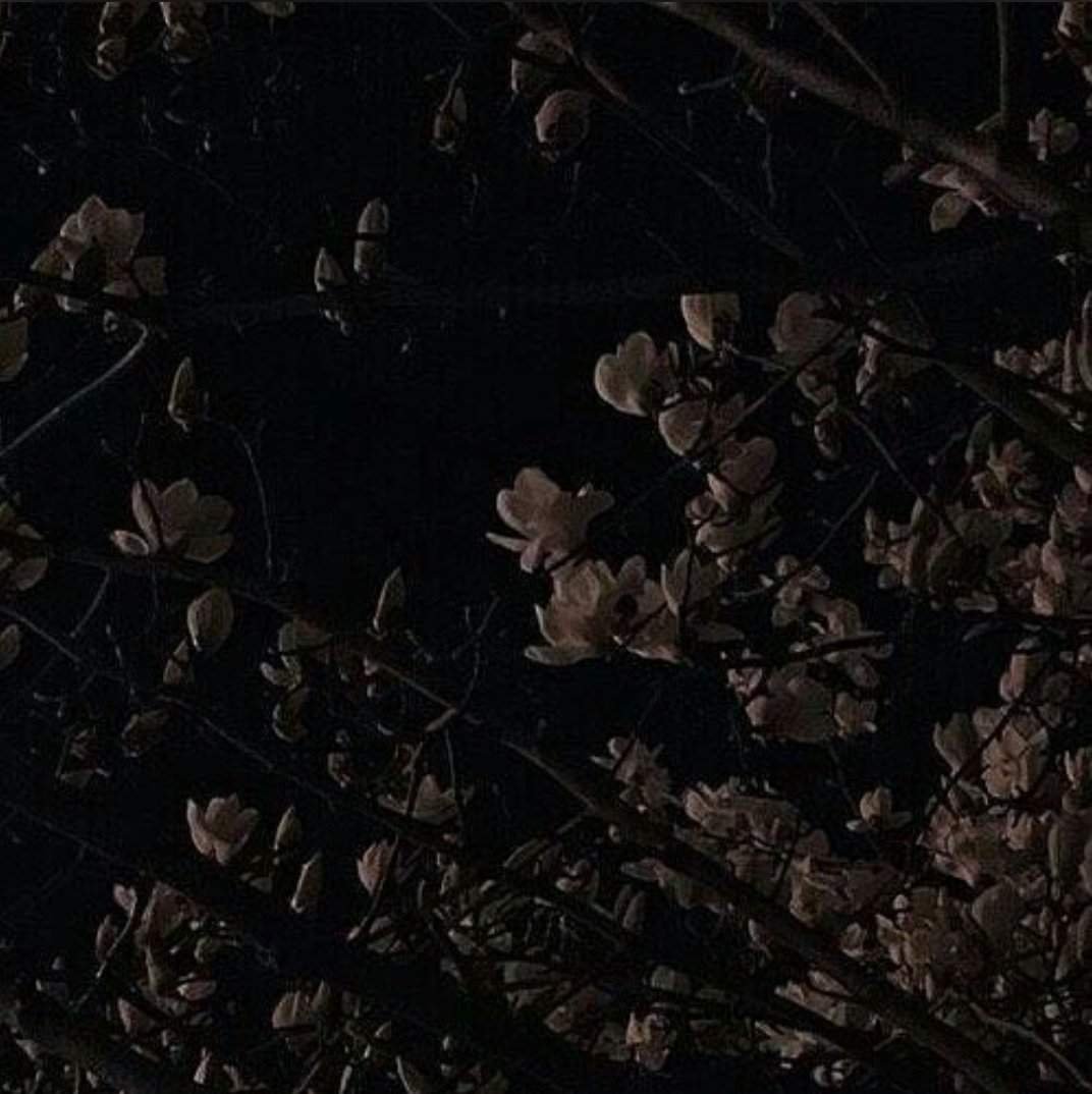 Темная Эстетика