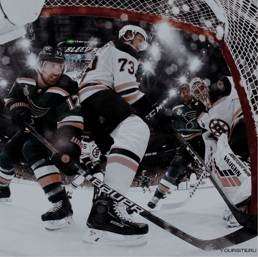 Эстетика хоккеистов