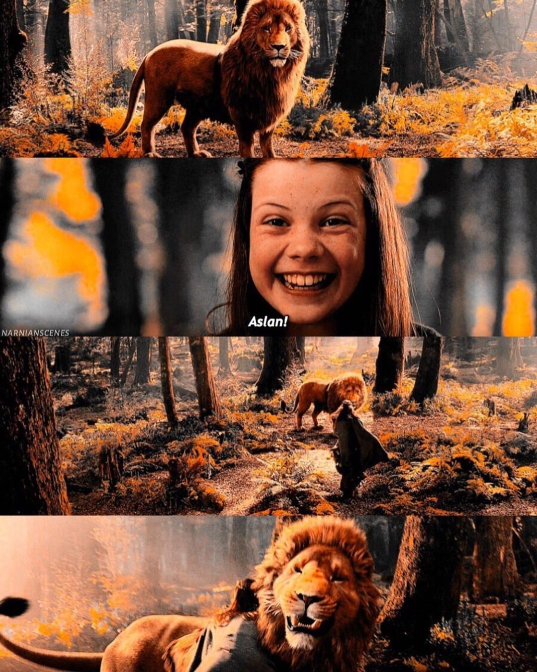 Хроники Нарнии Аслан и Люси