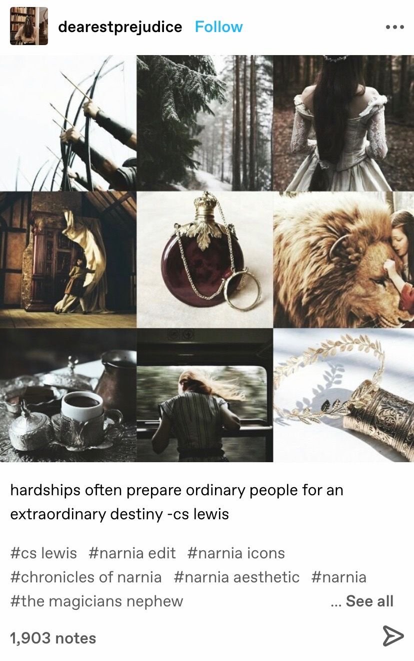 Хроники Нарнии Эстетика Эдмунд