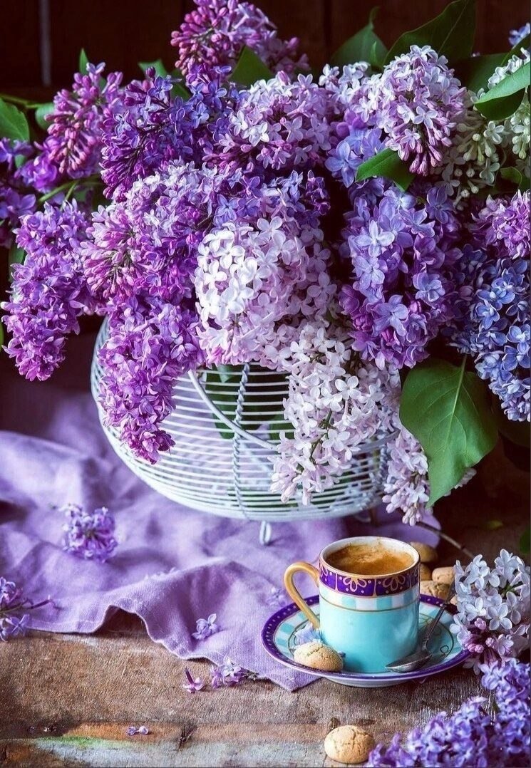 Сиреневое утро