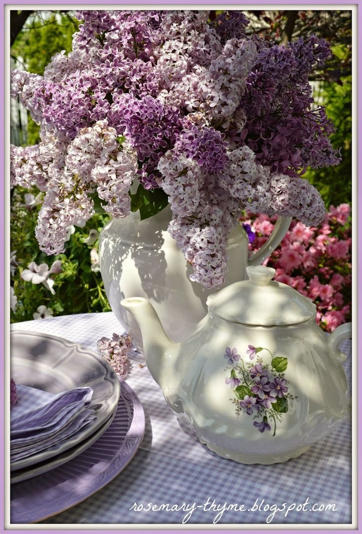 Сиреневое чаепитие