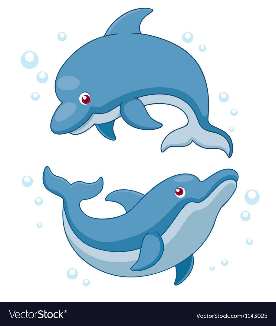 Два дельфина мультяшных