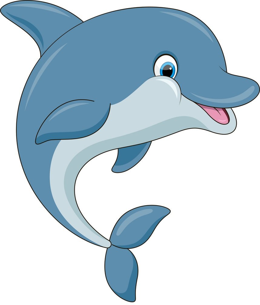 Дельфины картинки