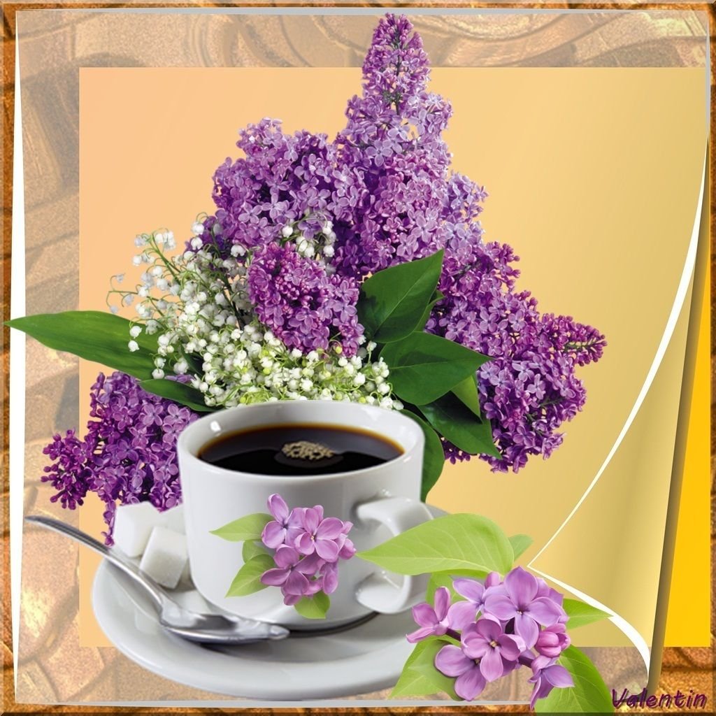 Доброго майского утра и хорошего дня