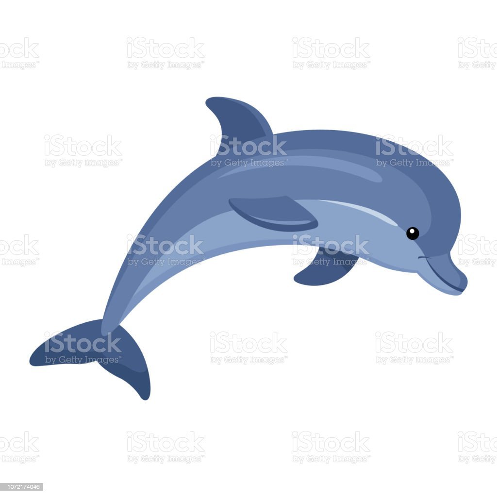 Вектор Сток Дельфин