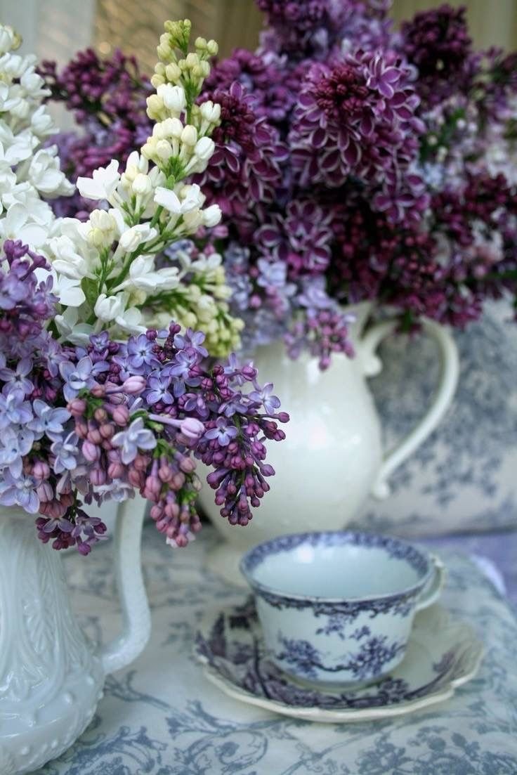 Утренняя сирень