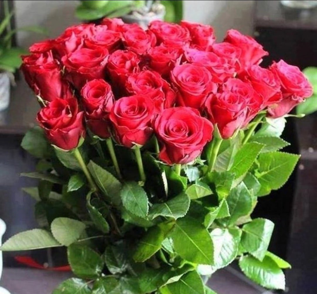 Қизил атиргул