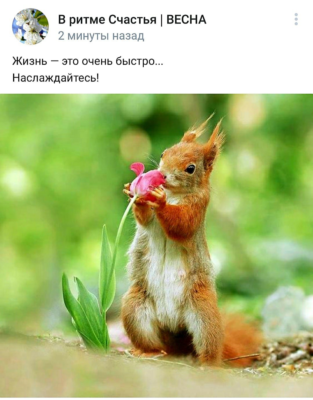 Прикольные белки