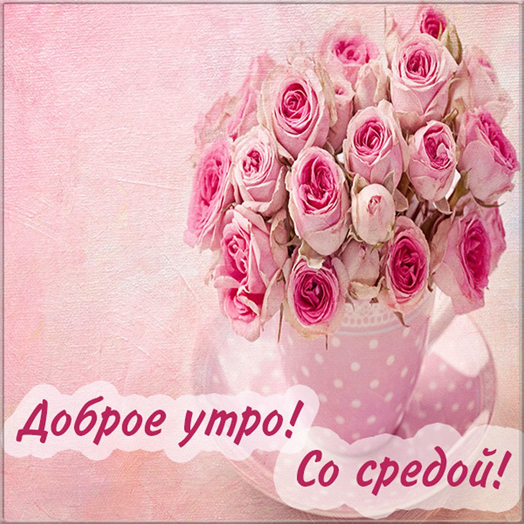 Среда пришла неделя прошла