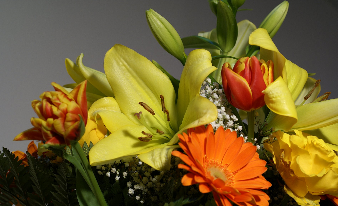 Поздравления с днём рождения Нелли