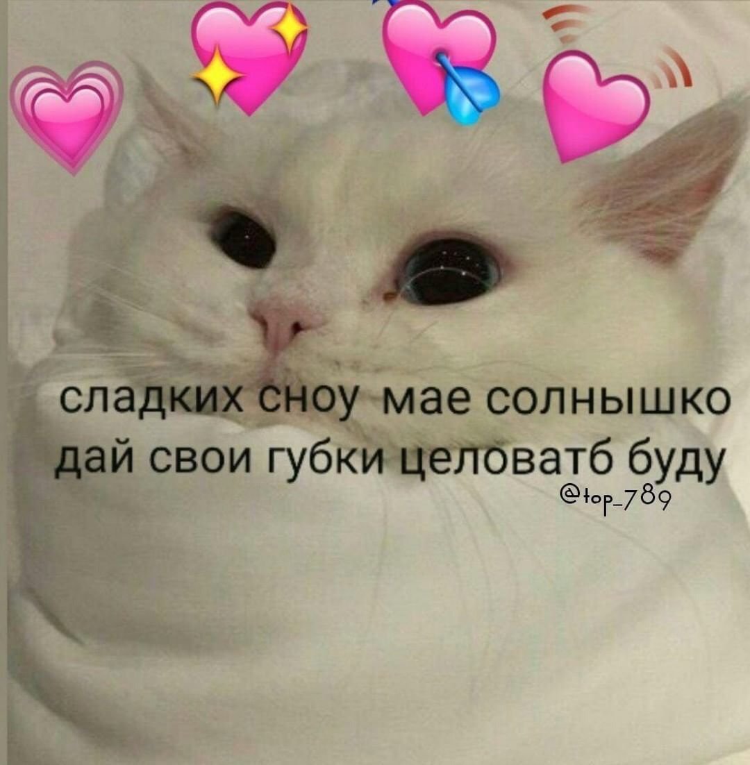 Создан чтобы косячить