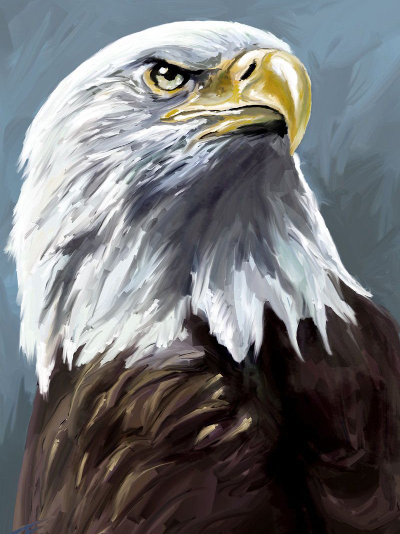 Арчибальд Торберн Орел