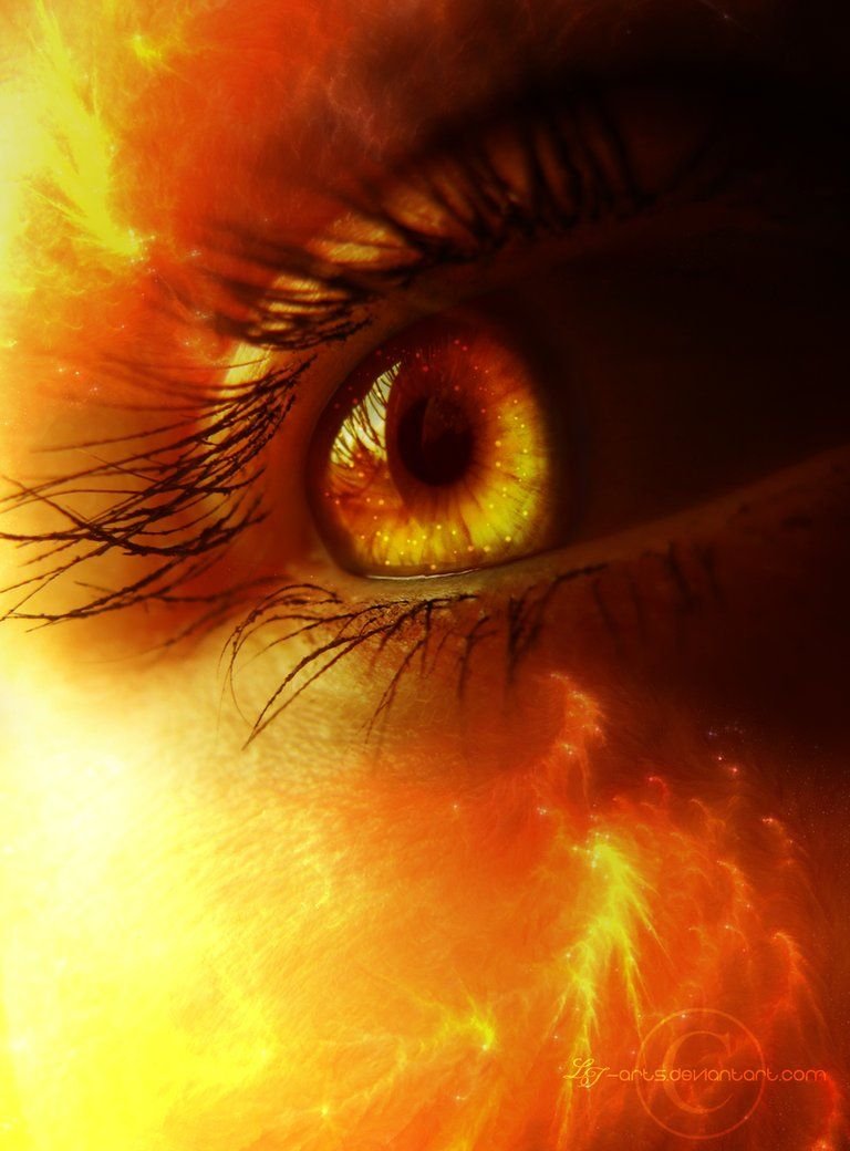 Кошка с темными глазами