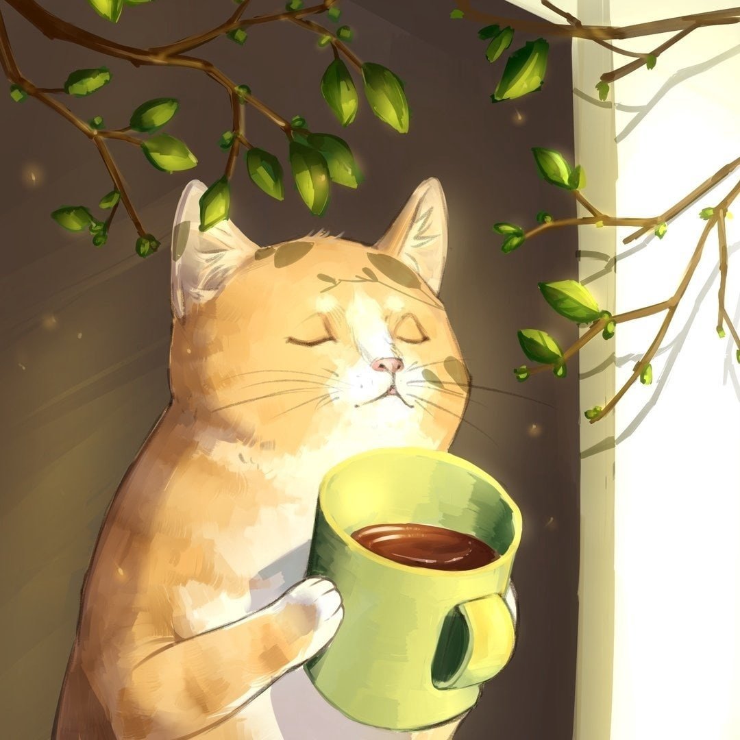 Котик с чашкой кофе