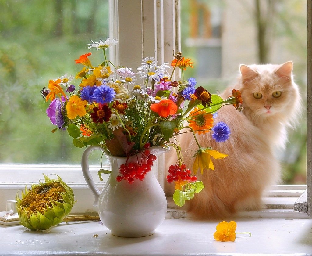 Прекрасного летнего утра и отличного настроения