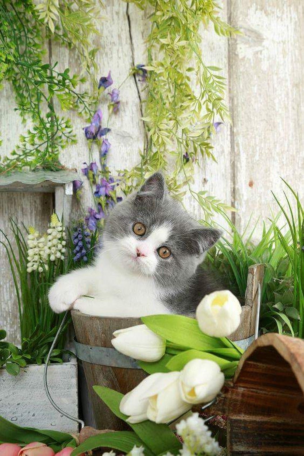 Доброе утро котенок