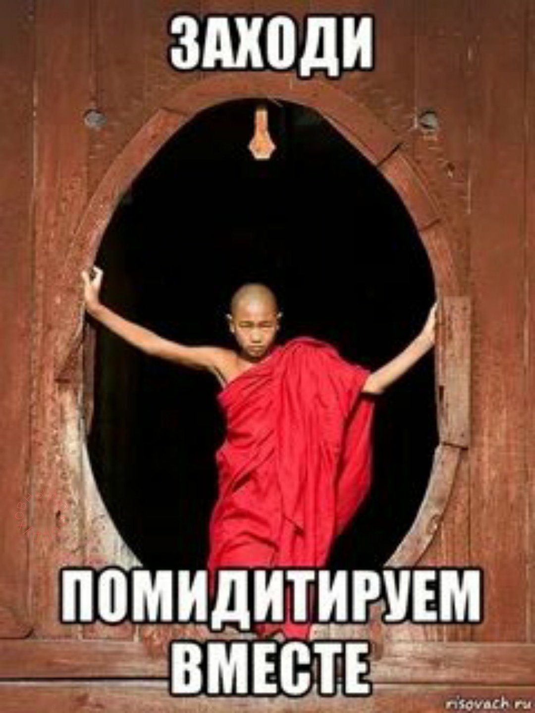 Удивительные факты прикол