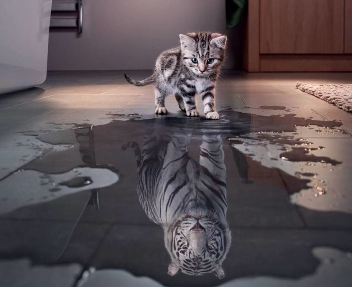 Рисунок тигра