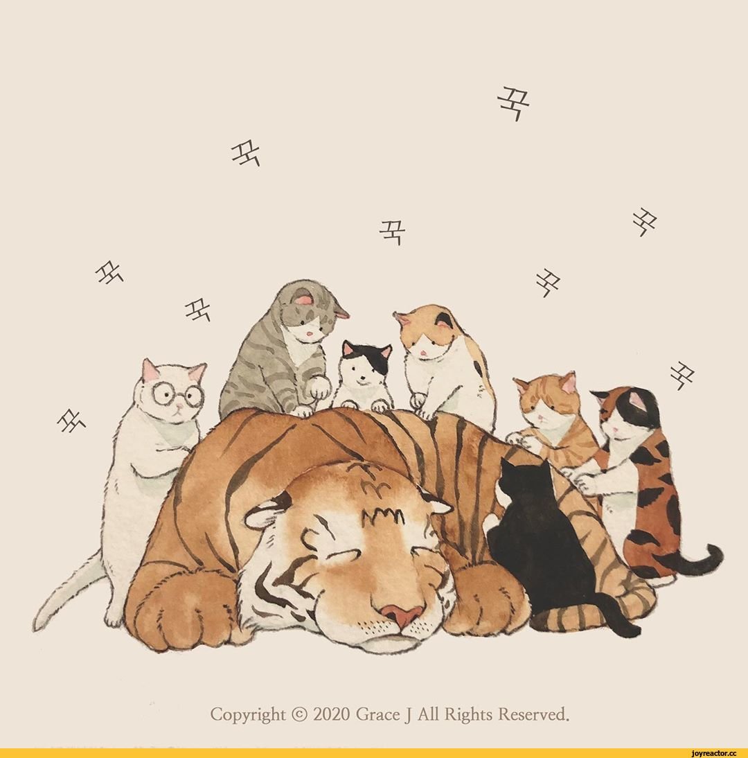 Бенгальский тигр альбинос