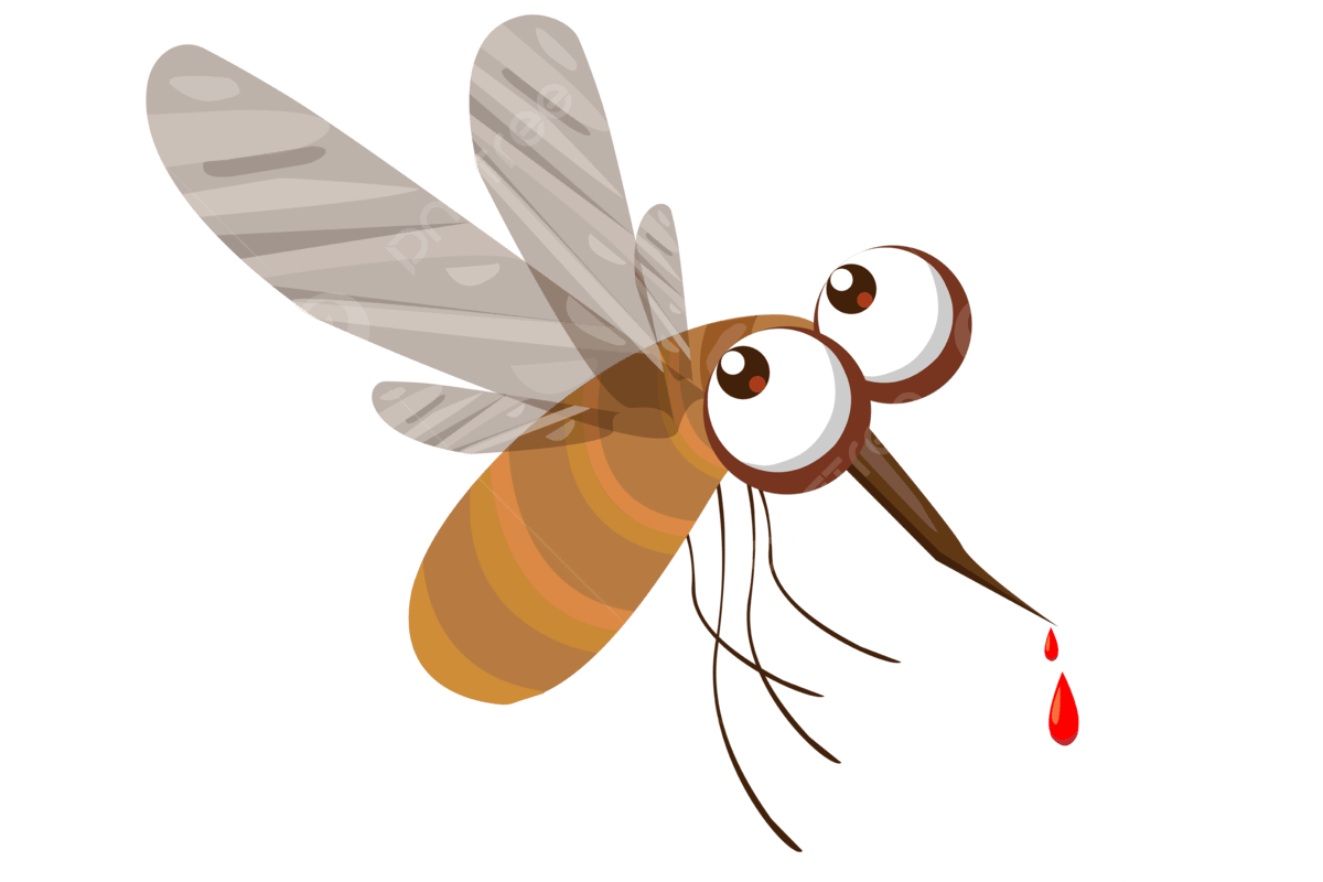 Комар клипарт на прозрачном фоне