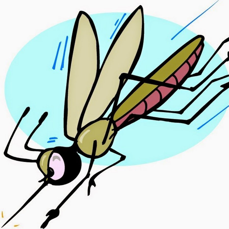 Комар рисунок