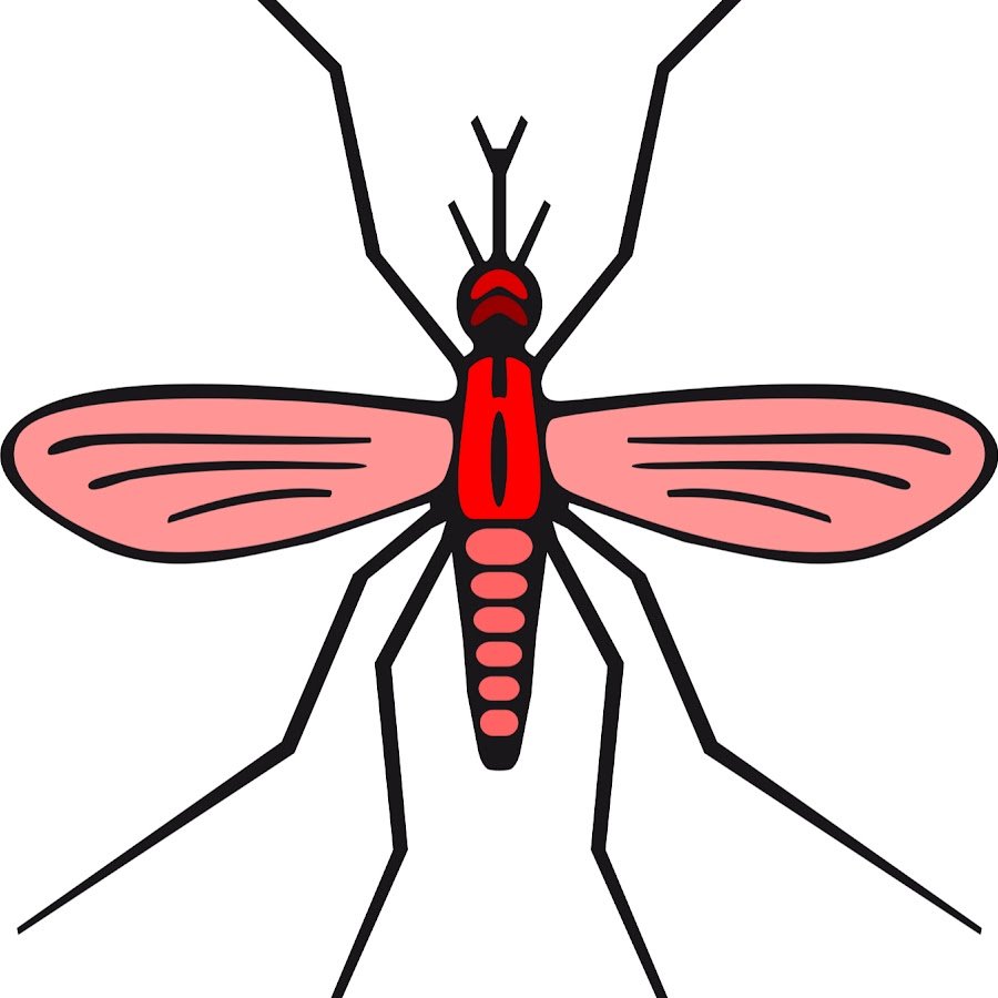 Комар вектор