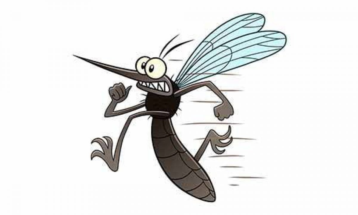 Комары мультяшные
