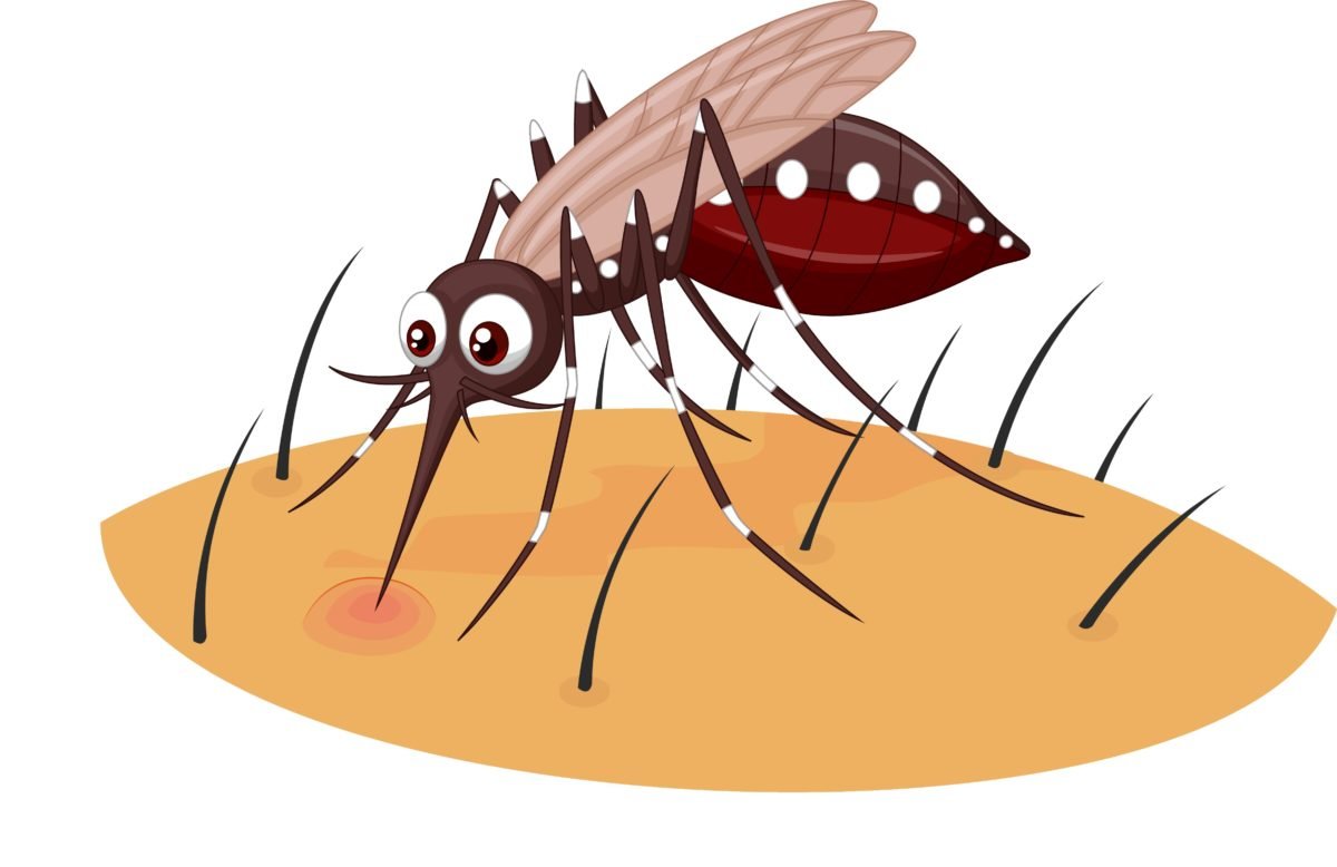 Комар мульт