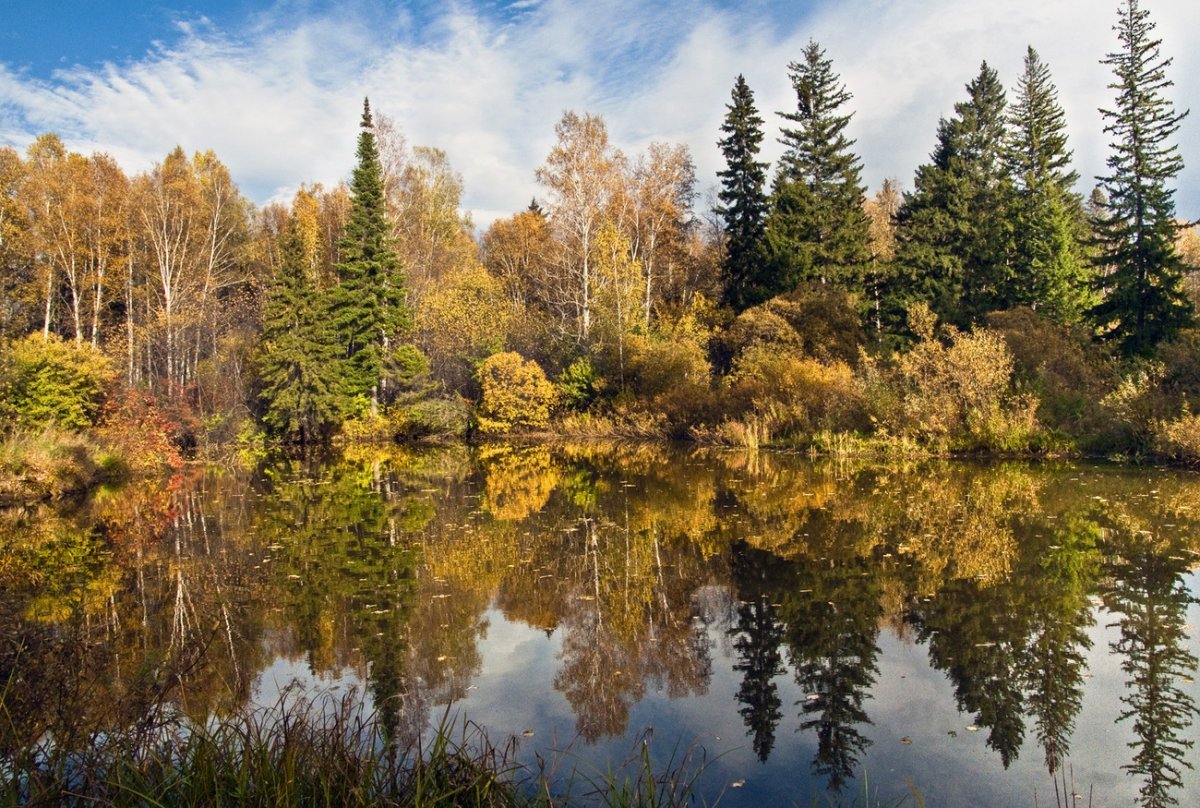 Бабье лето природа