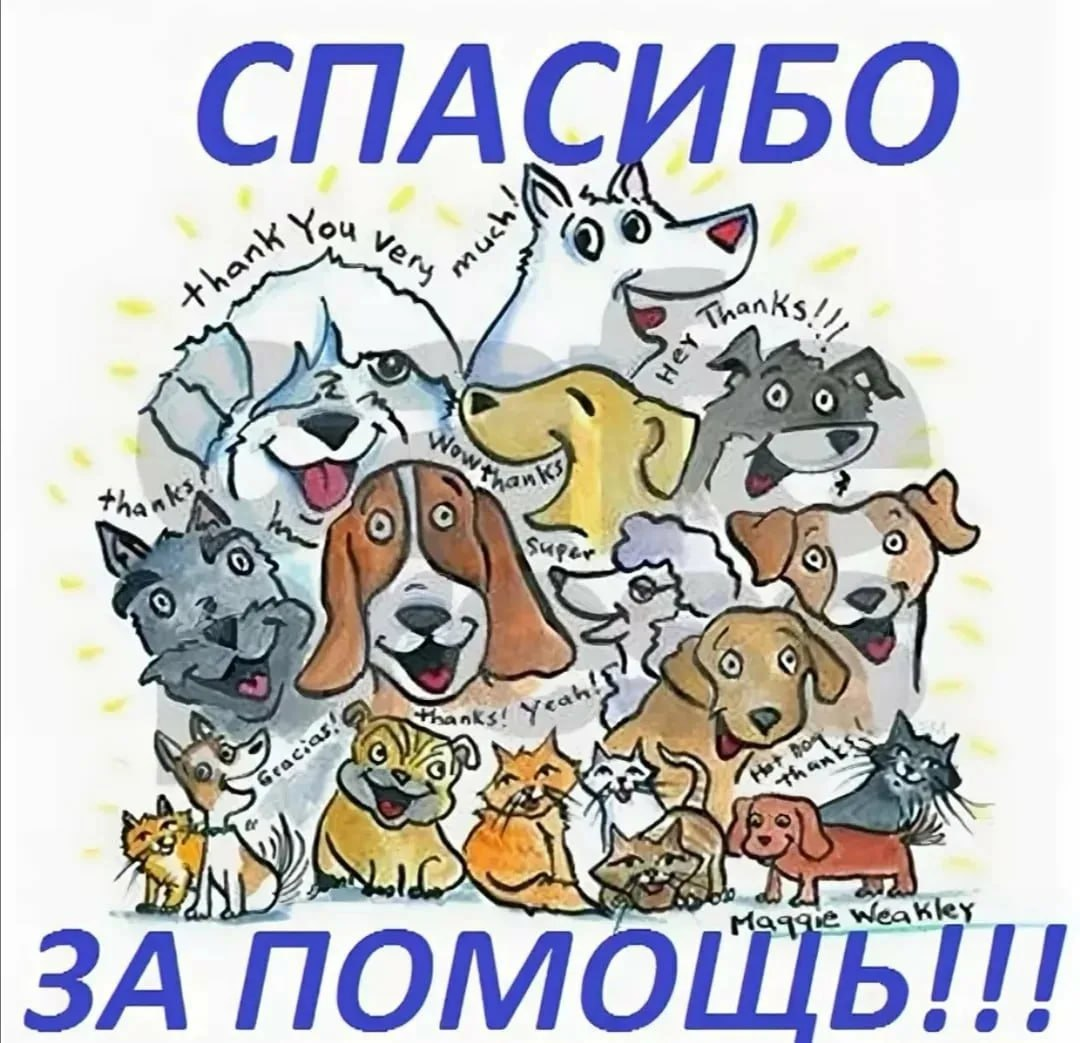 Спасибо за помощь животным