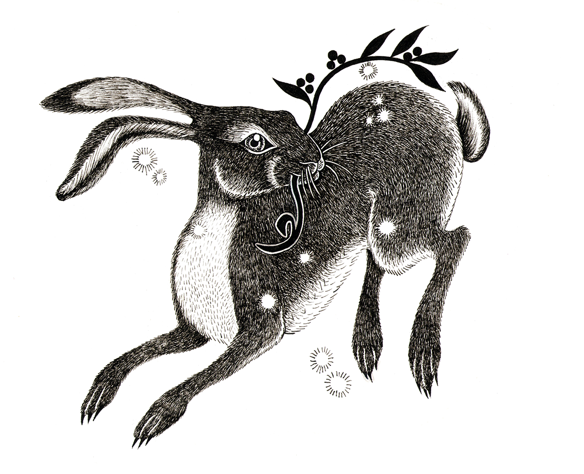 Черный кролик на белом фоне