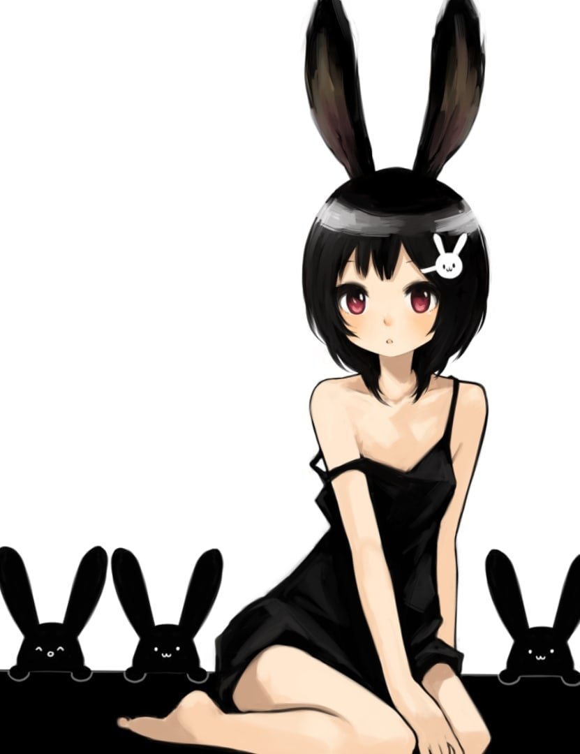 Карликовый кролик черный