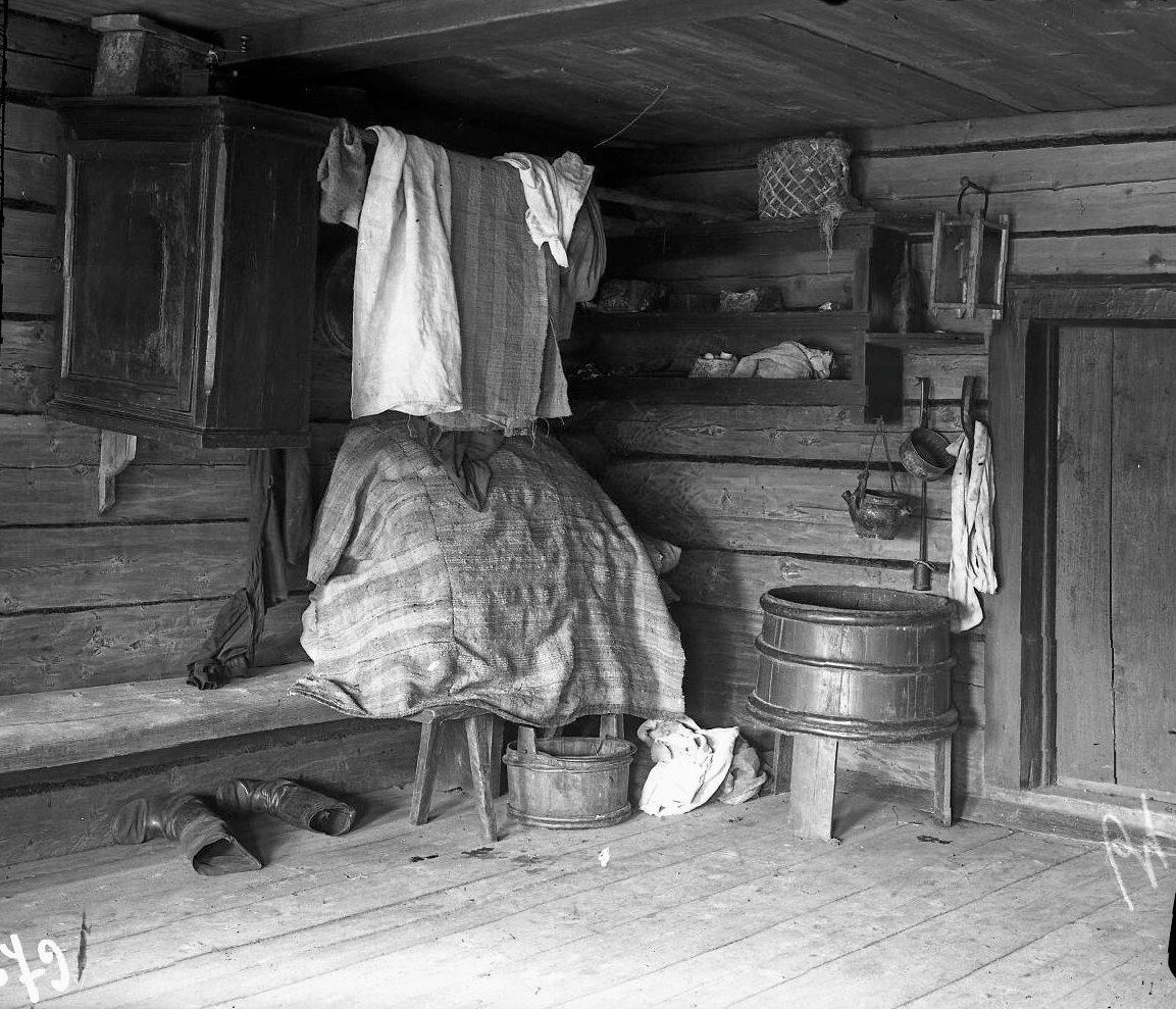 Крестьянская изба 20 века