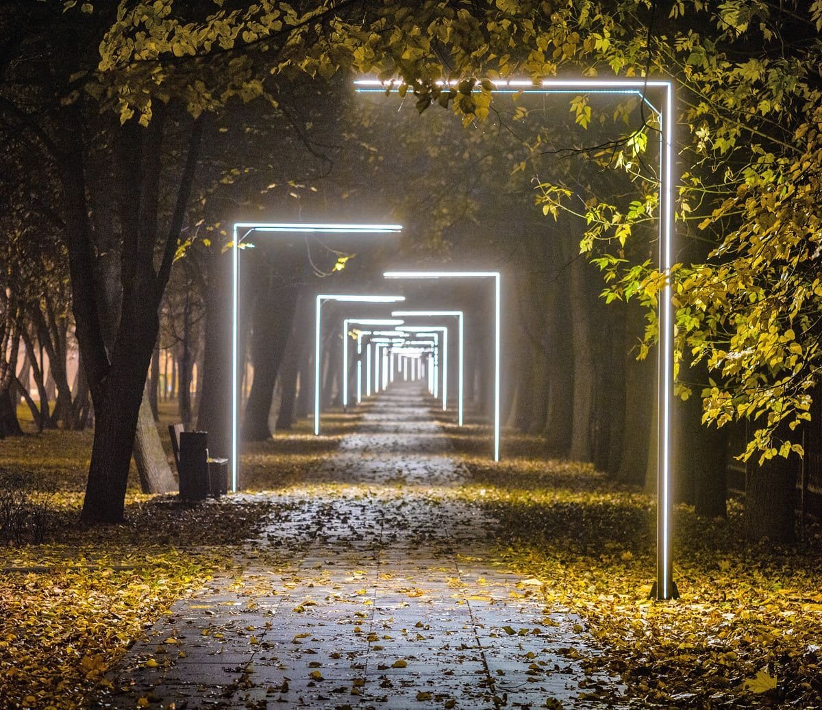 Фотокарточка в руке