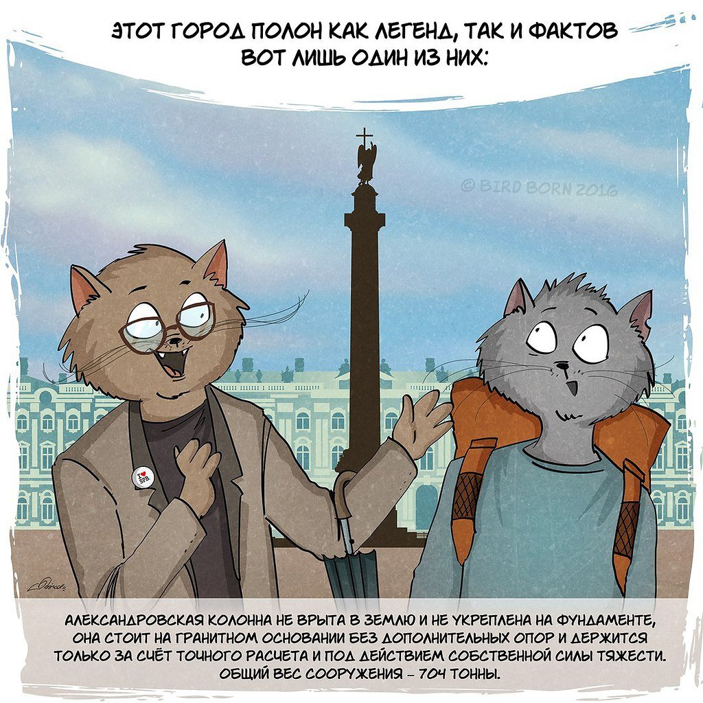 Смешные фразы про Питер