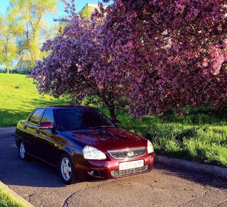 Лада Приора седан портвейн