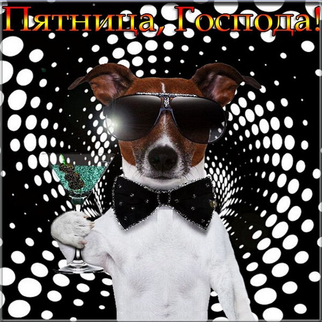 Поздравление с пятницей