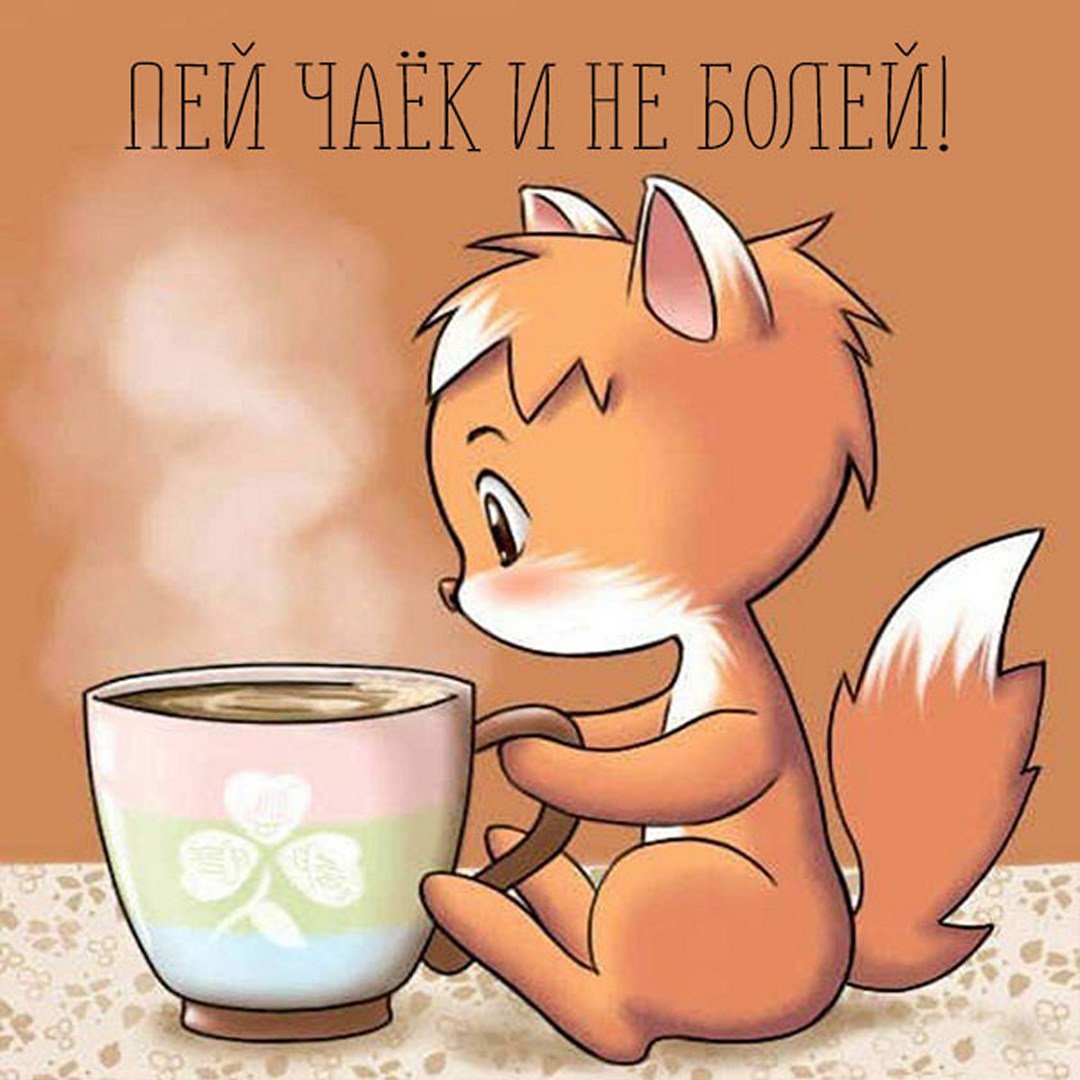 Лиса и Сова