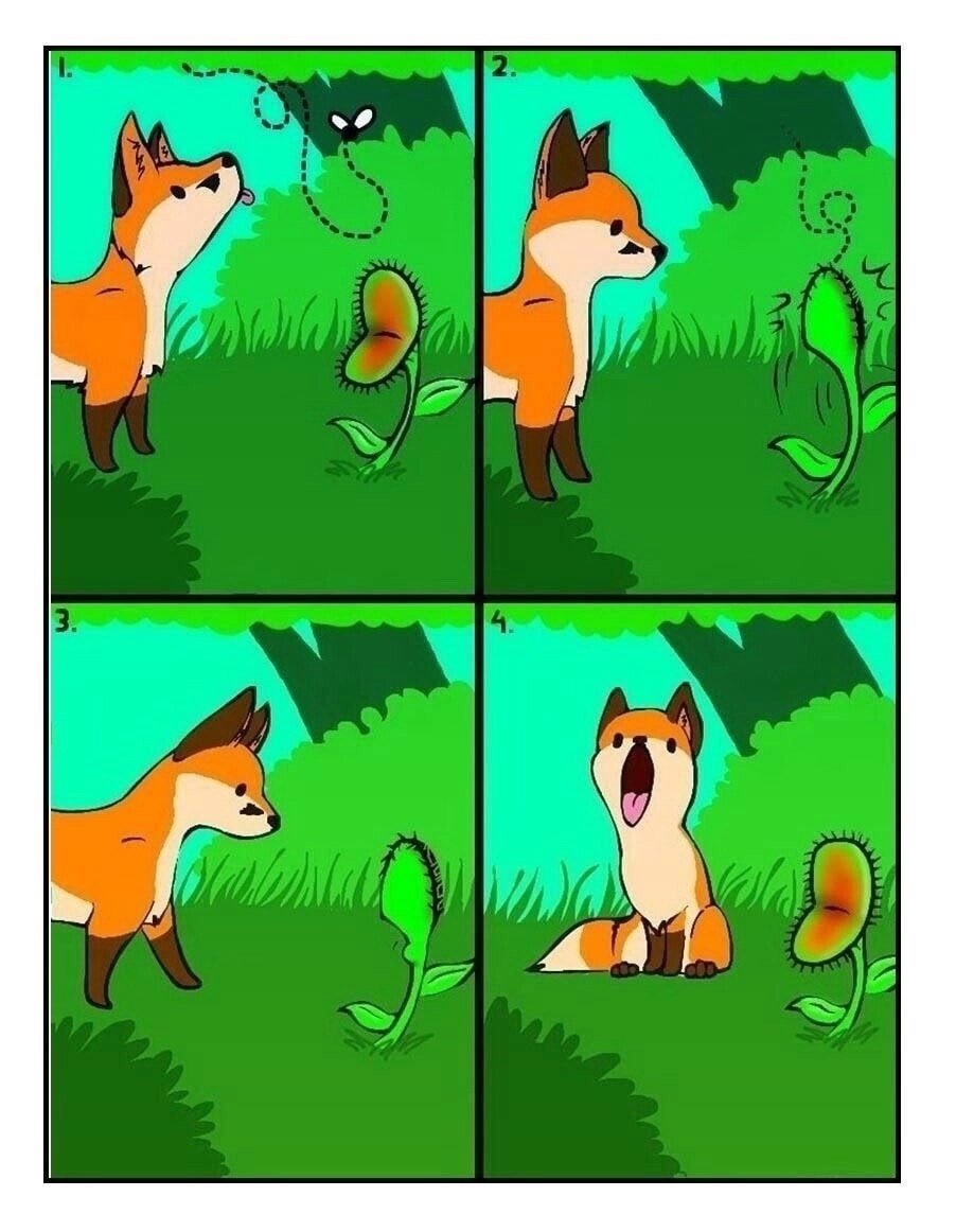 Иллюстрαтор Anna Chernyshova