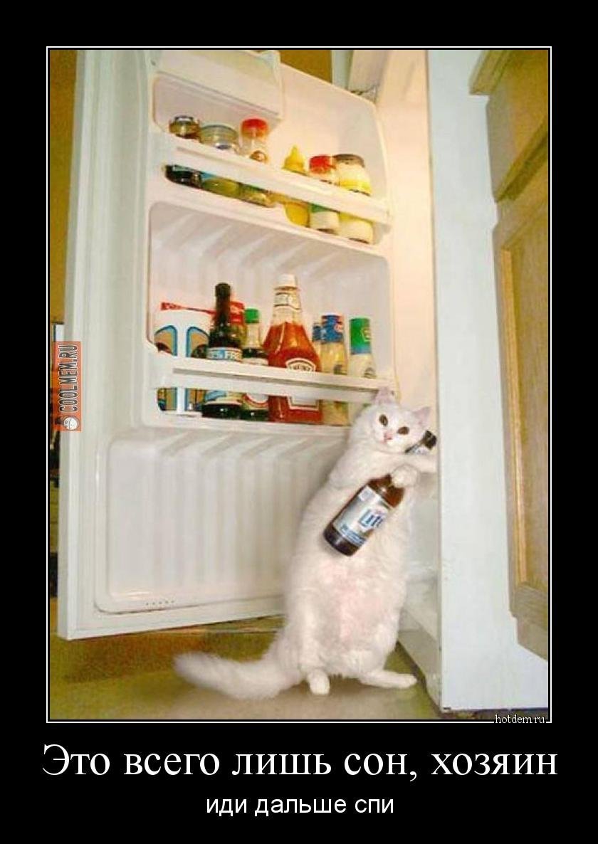 Чинит холодильник