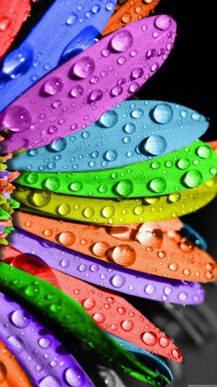 Яркие цвета