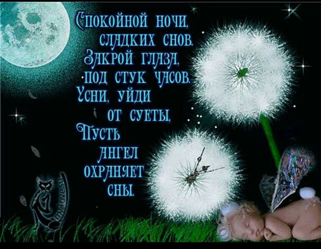 Спокойной ночи нежных снов