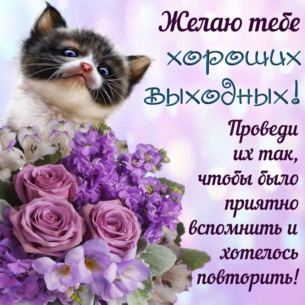 Цветы поздравления