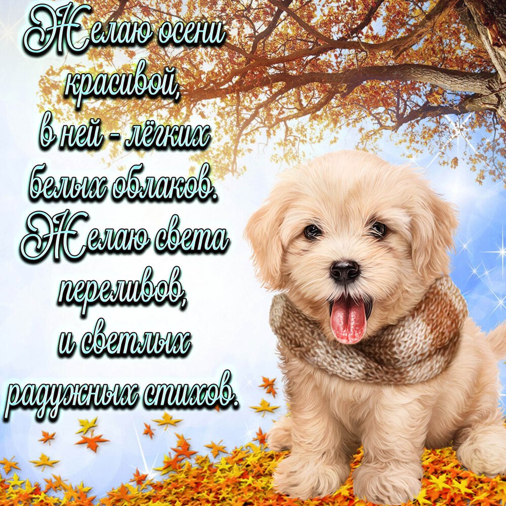 Пожелания на день