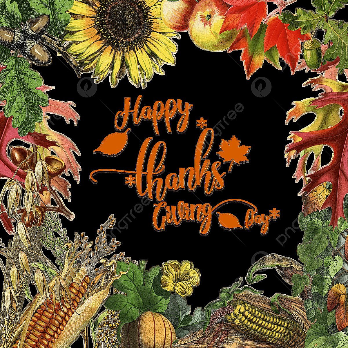 Thanksgiving обои