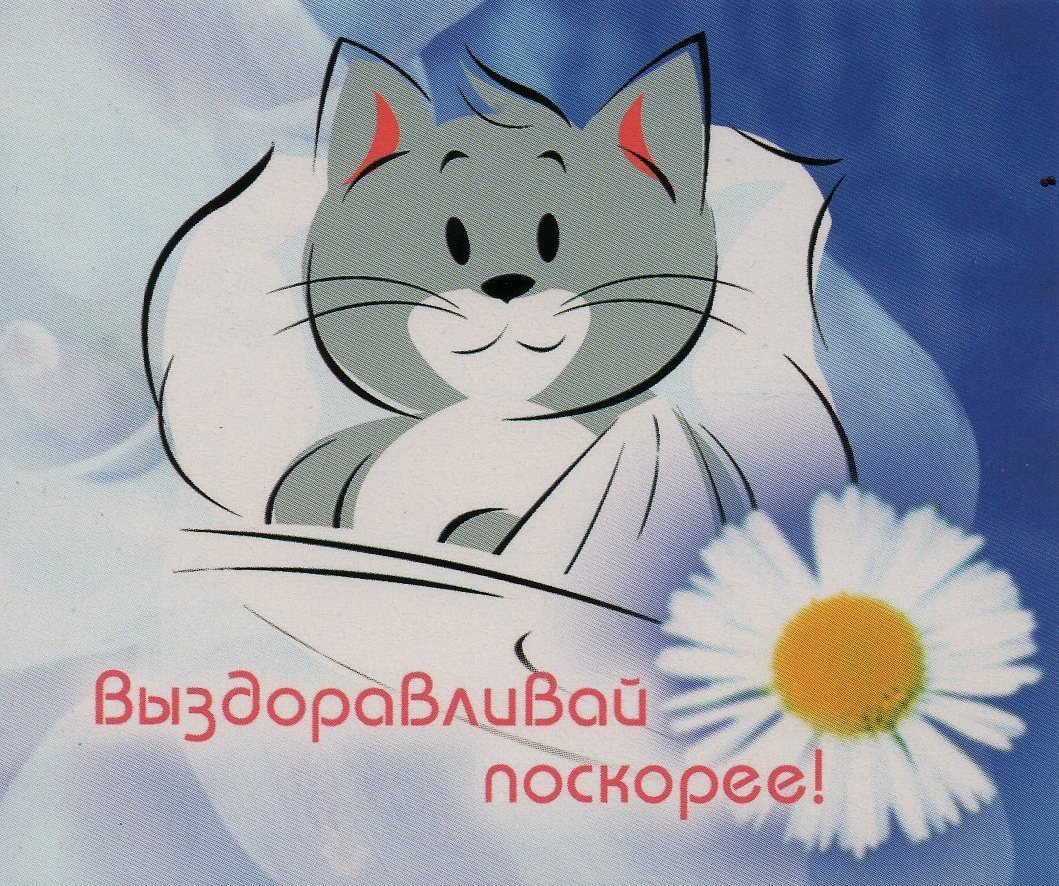 Выздоравливай картинки