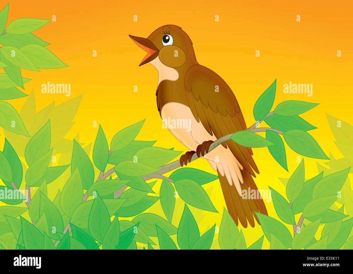 Соловей мультяшный